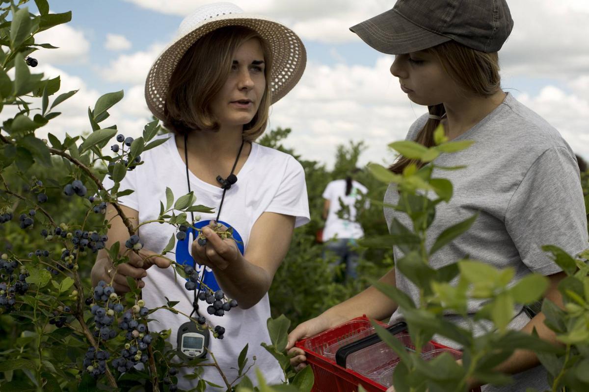 00280028_Berry_Good_639A2089_(1920_x_1080)