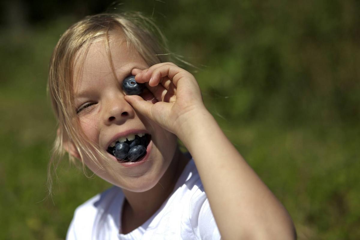 0060639A5064_(1920_x_1080)