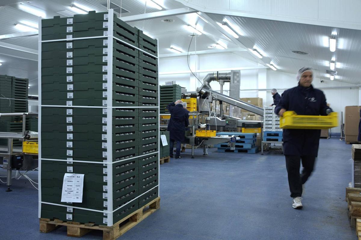 0087639A6638_(1920_x_1080)