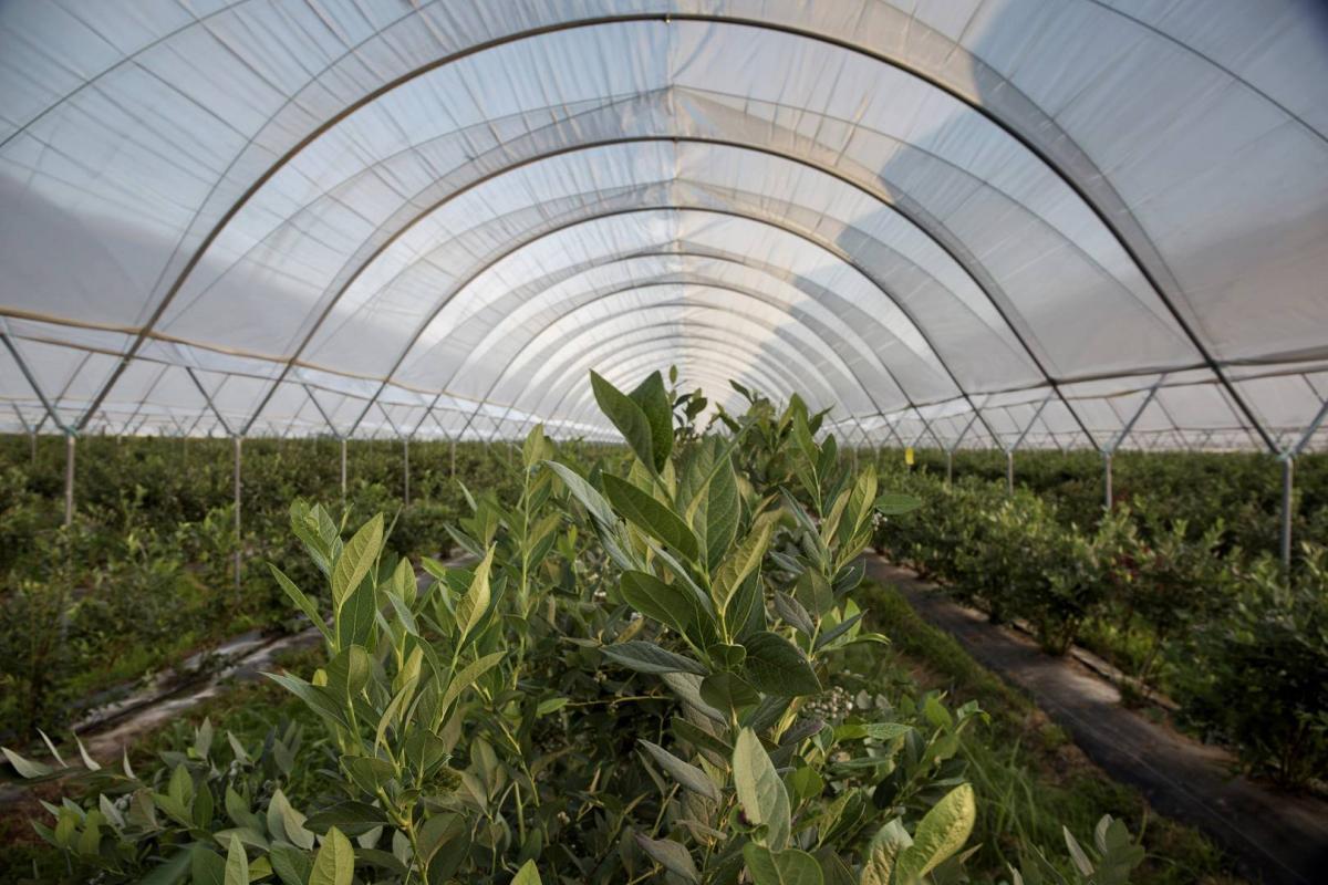 0092639A5385_(1920_x_1080)