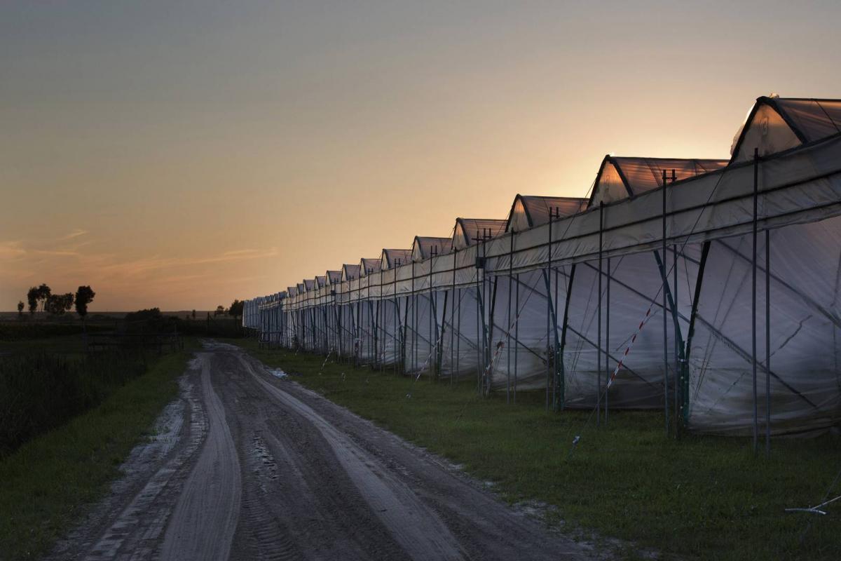 0094639A5433_(1920_x_1080)