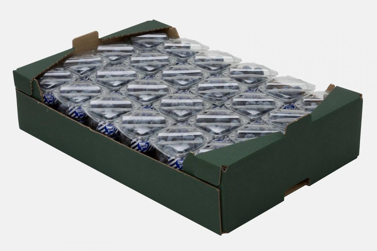 639A6569_(1920_x_1080)