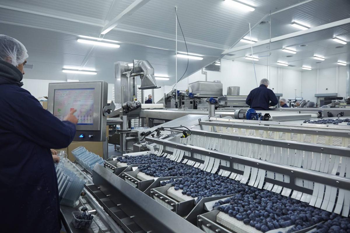 639A6868_(1920_x_1080)_(1)