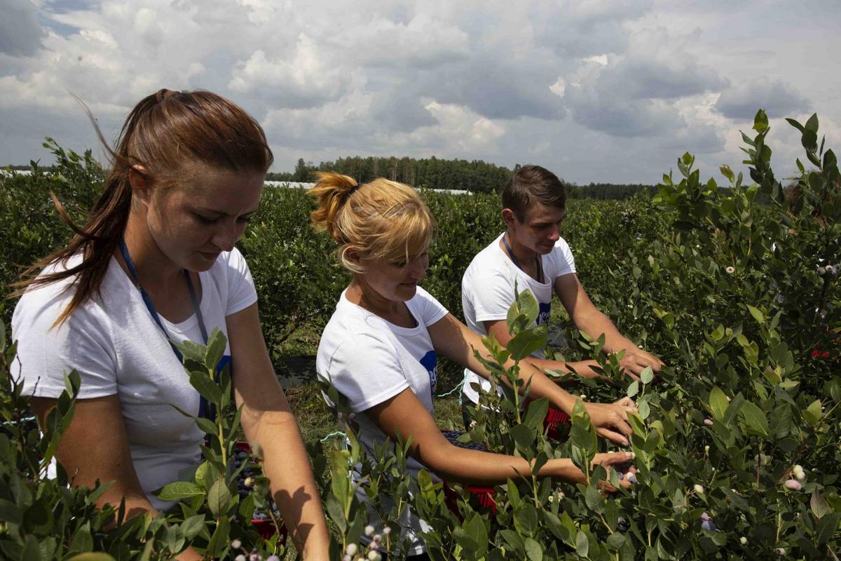 IMG_0300_male_(1920_x_1080)