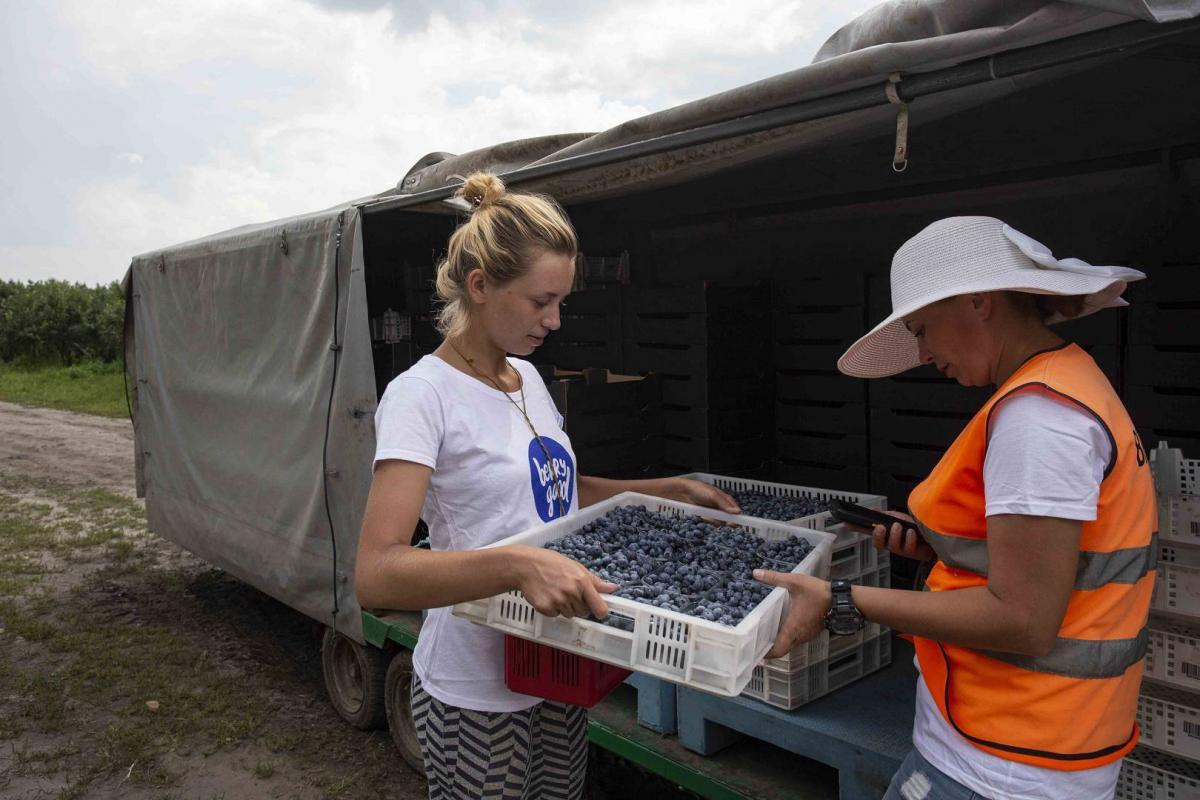 IMG_0408_male_(1920_x_1080)