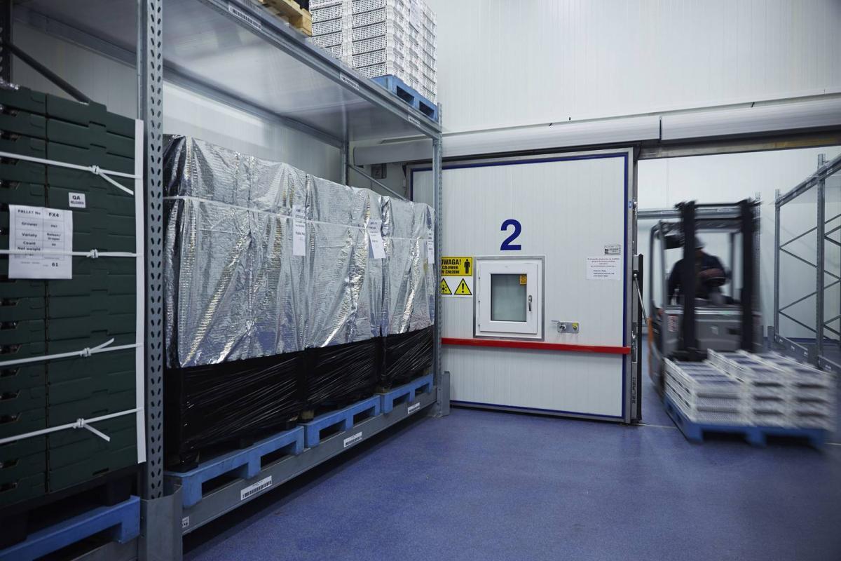 IMG_0479-2_(1920_x_1080)