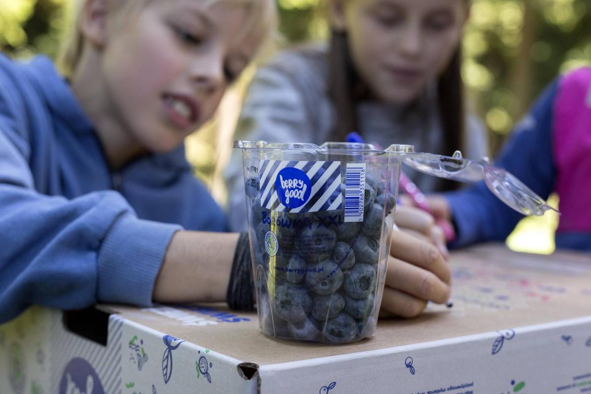 IMG_6223_(1920_x_1080)