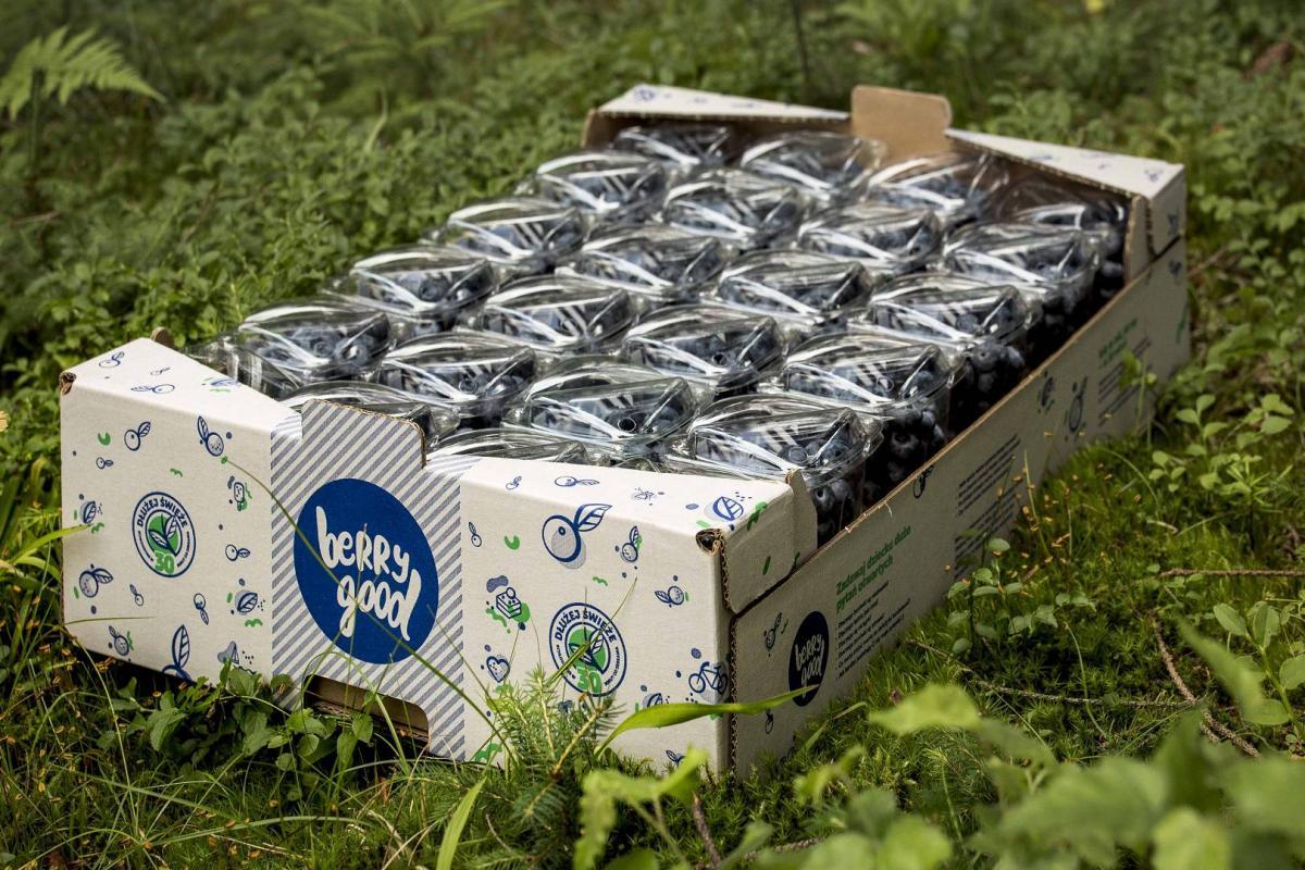 IMG_6737_(1920_x_1080)