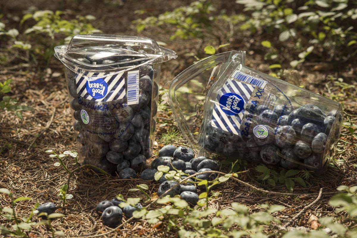 IMG_6965_(1920_x_1080)