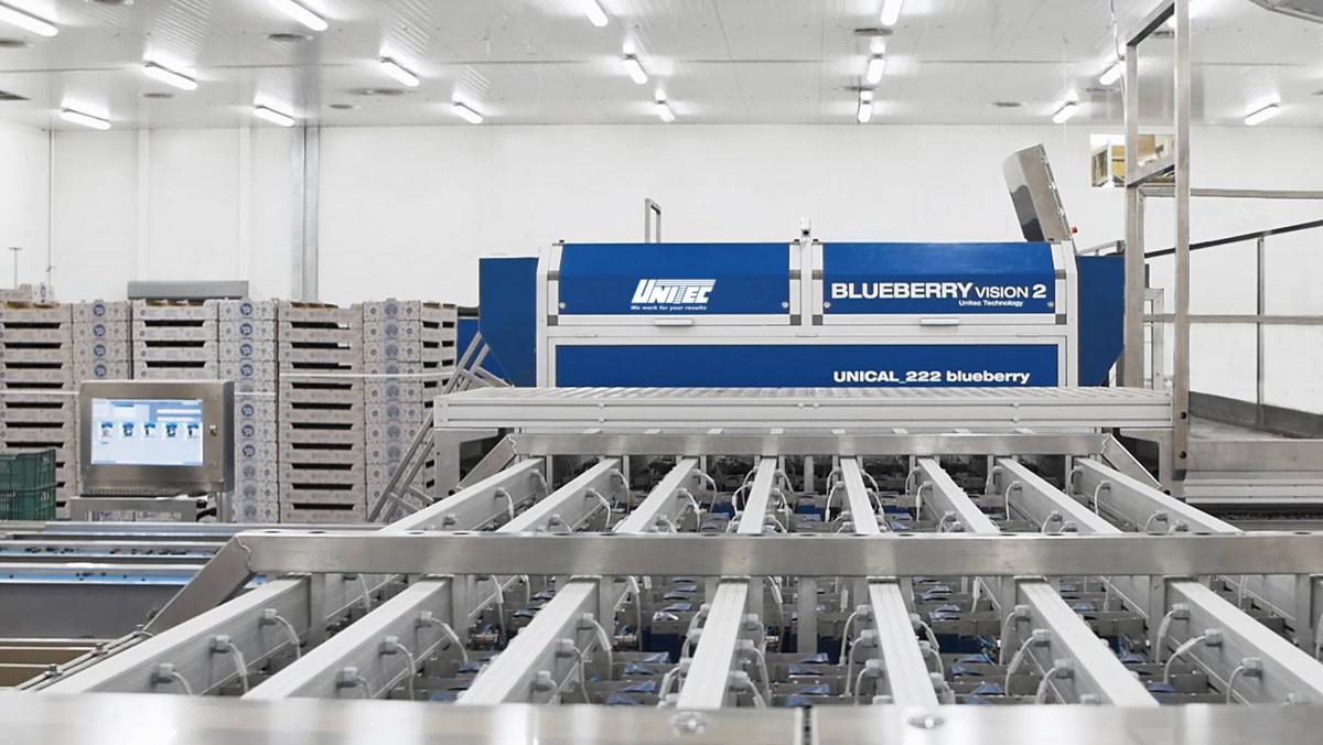 Unitec_Blueberry_Vision_2_Polskie_(1920_x_1080)_(1)