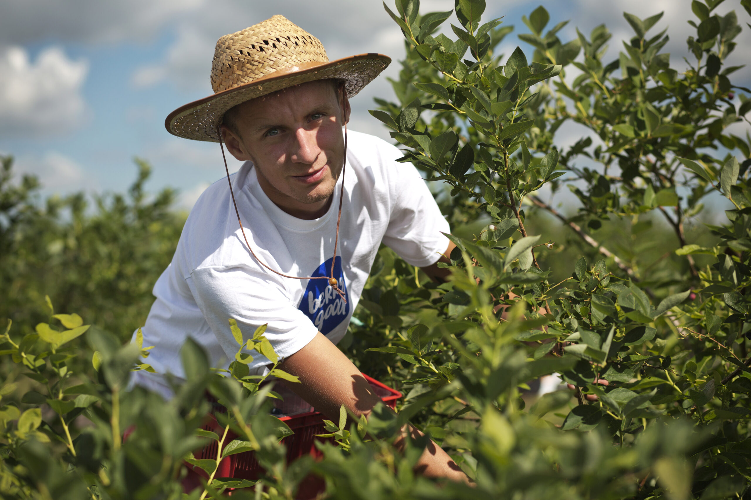 00240024_Berry_Good_639A1963